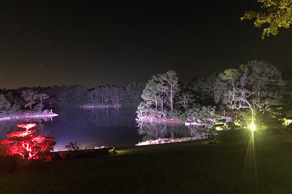 Night view of lake with colored lights